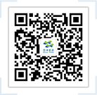 久久久www成人免费无遮挡大片